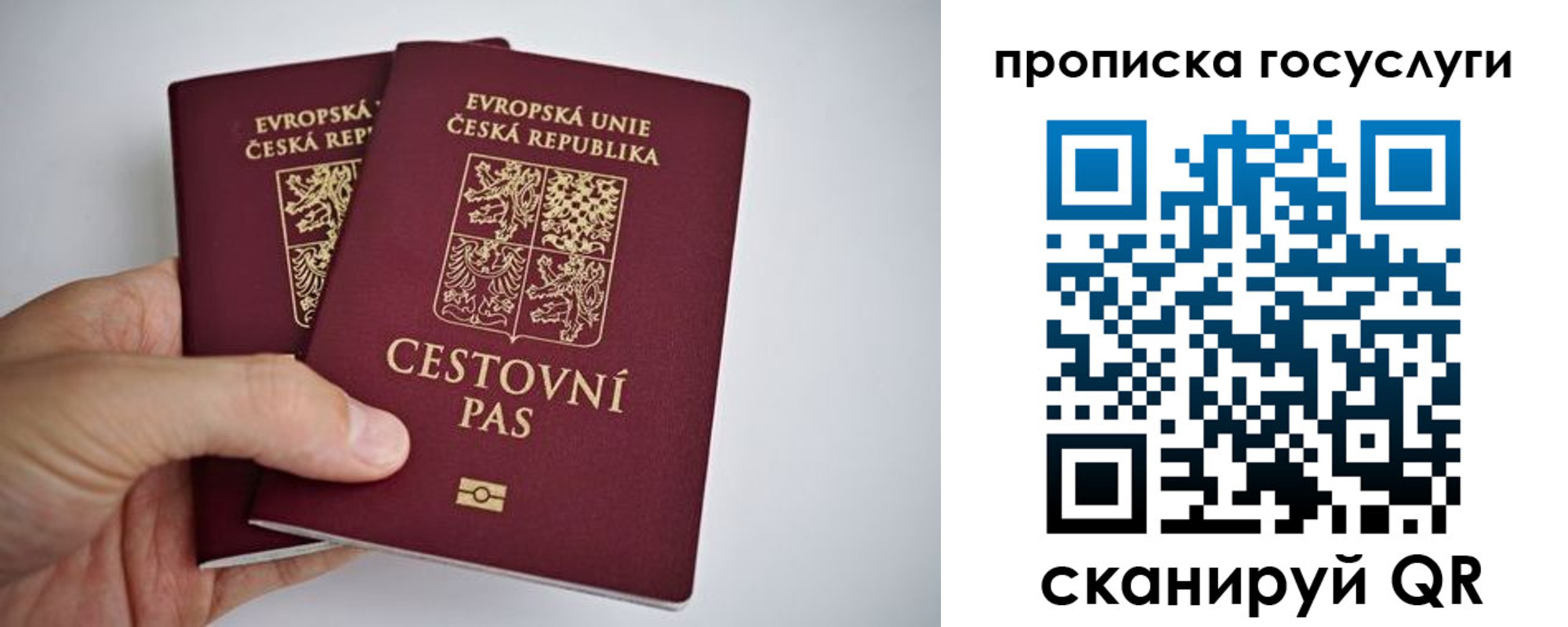 прописка ребенка в Шахтах